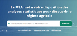 site statistiques msa